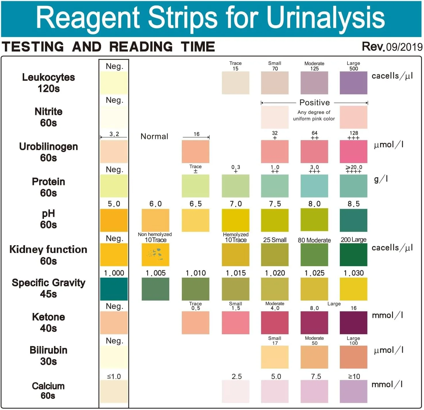 Urinalysis Test Strips – 10 Parameter Home Urine Test Kit | 100 Strips - Image 3